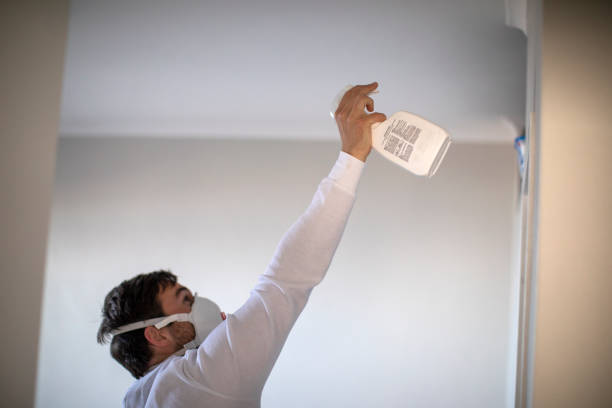 Home Mold Removal in Curtisville, PA