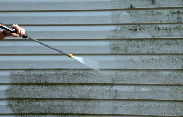 Best Mold Removal and Inspection  in Curtisville, PA