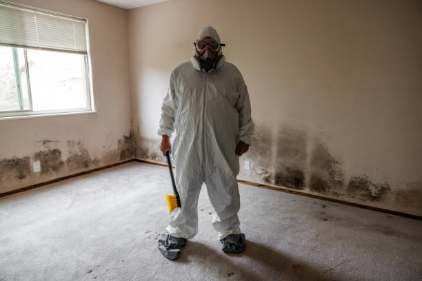 Best Mold Damage Repair  in Curtisville, PA